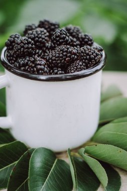 Yeşil zemin üzerine beyaz bir fincan sulu taze böğürtlen. Organik sağlıklı meyveleri. 