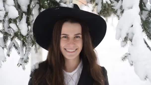 Ευτυχισμένη Και Χαμογελαστή Κοπέλα Ένα Καπέλο Ένα Χειμερινό Πάρκο Στέκεται — Αρχείο Βίντεο