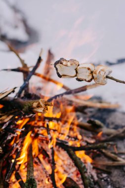 Marshmallow şenlik ateşinde kış tatil yapma. Kavramı macera aktif tatiller açık. Kış Kampı