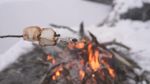 カップルに対して雪に囲まれたキャンプファイヤーそば揚げマシュマロを食べる 概念冒険アクティブな休暇屋外 冬のキャンプ — ストック動画