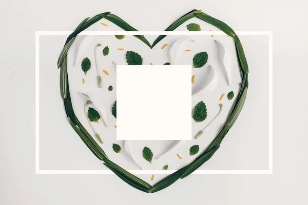 Leaves in the form of a heart. Creative layout made with leaves of white lily on bright background with a drawn frame. Spring minimal concept. Flat lay, top view, copy space