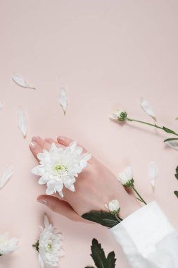 Yakın çekim güzel sofistike kadın elleri pembe bir arka plan üzerinde beyaz çiçekli. Kavram el bakım, anti-kırışıklık, Anti-Aging Krem. Düz yatıyordu, en iyi görünüm, kopya alanı