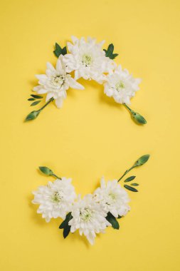 Sarı zemin üzerine beyaz çiçek yapılmış yaratıcı düzeni. Anneler günü, Bayan gün, Bahar kavramı. Yat, görünümü, kopya alanı top. Doğa arka plan