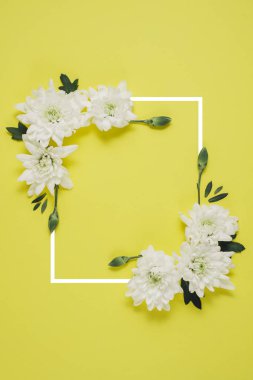 Yaratıcı çiçek kompozisyon. Çizilmiş bir çerçeve yeşil zemin üzerine beyaz çiçek çelenk yaptı. Anneler günü, Bayan gün, Bahar kavramı. Düz yatıyordu, en iyi görünüm, kopya alanı