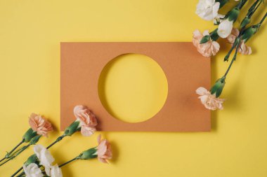 Beyaz ve pembe çiçek Sarı zemin üzerine yapılmış yaratıcı düzeni. Anneler günü, Bayan gün, Bahar kavramı. Yat, görünümü, kopya alanı top. Doğa arka plan