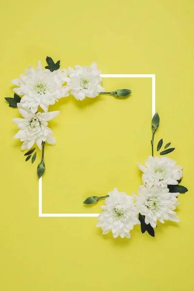 Creative flowers composition. Wreath made of white flowers on green background with a drawn frame. Mothers day, womens day, spring concept. Flat lay, top view, copy space