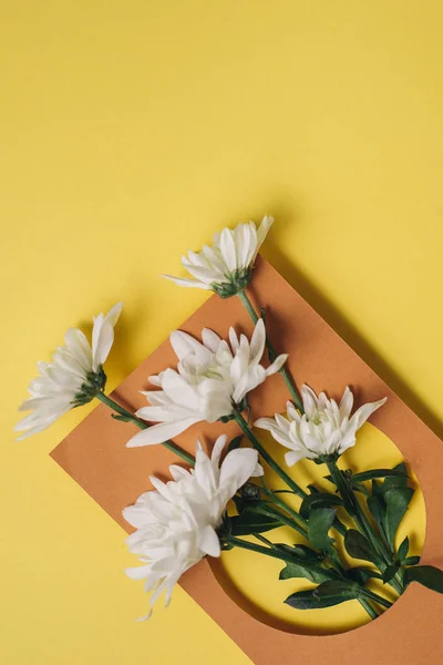 Layout Criativo Feito Flores Brancas Fundo Amarelo Deitado Plano Vista — Fotografia de Stock