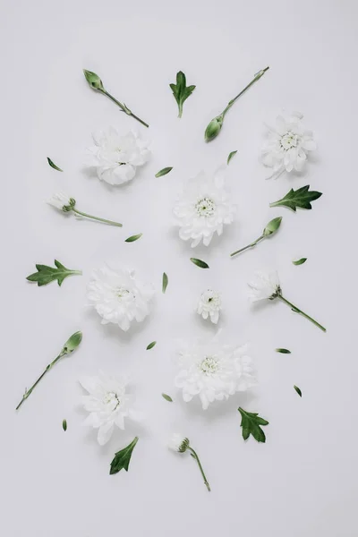 Bellissimo Motivo Floreale Fatto Bianco Floreale Foglie Verdi Rami Sfondo — Foto Stock
