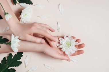 Yaratıcı ve moda sanat cilt eller ve kadınların elinde beyaz çiçekler. Pembe bir arka plan üzerinde beyaz çiçekli el. Kozmetik eller için anti kırışıklık. Düz yatıyordu, en iyi görünüm, kopya alanı