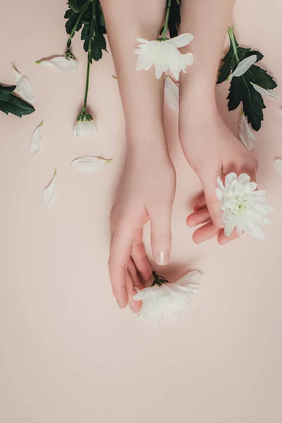 Creative and fashion art skin care of hands and white flowers in hands of women. Female hand with white flowers on pink background. Cosmetics for hands anti wrinkle. Flat lay, top view, copy space