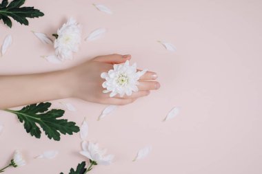 Yaratıcı ve moda sanat cilt eller ve kadınların elinde beyaz çiçekler. Pembe bir arka plan üzerinde beyaz çiçekli el. Kozmetik eller için anti kırışıklık. Düz yatıyordu, en iyi görünüm, kopya alanı