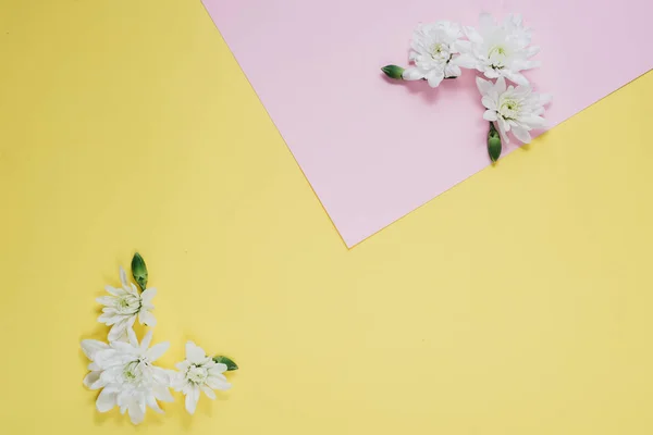 Composição criativa com flores de primavera. Lindas flores brancas no fundo rosa pastel e amarelo. Flat lay, vista superior, espaço de cópia — Fotografia de Stock