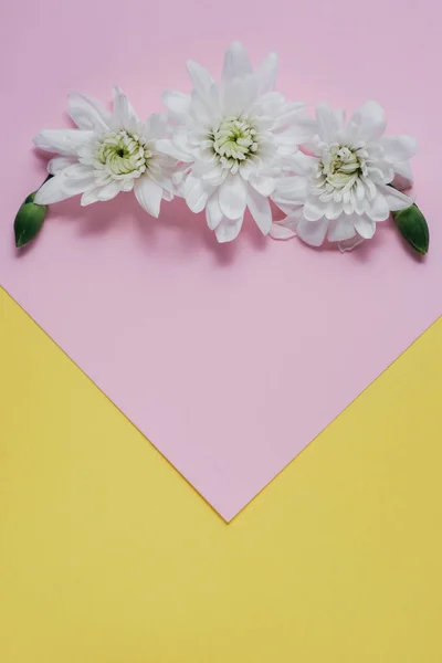 Composizione creativa con fiori primaverili. Bellissimi fiori bianchi su sfondo rosa pastello e giallo. Layout piatto, vista dall'alto, spazio di copia — Foto Stock