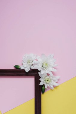 Bahar çiçekleri ile yaratıcı kompozisyon. Beyaz çiçekler ve pastel pembe ve Sarı zemin üzerine ahşap çerçeve. Düz yatıyordu, en iyi görünüm, kopya alanı