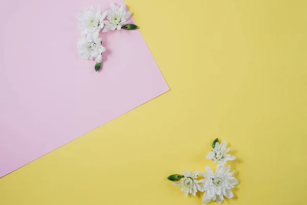 Creatieve compositie bij Lentebloemen. Mooie witte bloemen op pastel roze en gele achtergrond. Plat lag, top uitzicht, kopie ruimte — Stockfoto