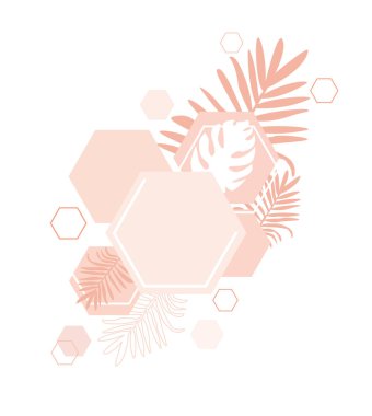 Pembe tropikal yaprakları palmiye ve monstera bitki ile yaratıcı arka plan. Zarif zemin yapılan egzotik bitkilerin yeşillik çerçeve ile dekore edilmiştir. Doğal mevsimlik sınır. Vektör şirin kopya alanı.