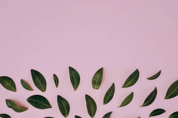 Creatieve samenstelling in kleine blaadjes vertegenwoordigd op roze achtergrond apart. Beetje laat velen voor het verfraaien van een postkaart of viering kaart. Plat lag, top uitzicht, kopie ruimte — Stockfoto