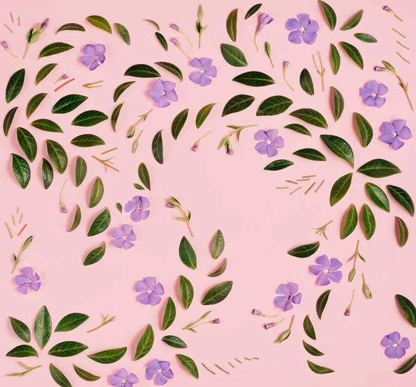 Violet flowers and green little leaves represented over pink background separately. Many little leaves for decorating any post card or celebration card. Flat lay, top view, copy space — Stock Photo, Image