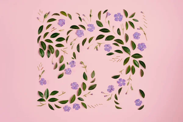 Flores violetas y hojas verdes representadas sobre fondo rosa por separado. Muchas hojas pequeñas para decorar cualquier postal o tarjeta de celebración. Plano, vista superior, espacio para copiar — Foto de Stock