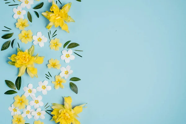 Fundo criativo feito de flores brancas e amarelas na parede azul pastel. Primavera, conceito de verão. Flat lay, vista superior, espaço de cópia — Fotografia de Stock