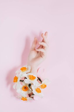 Kadın el çiçek ile pembe kağıt bir delik yırtılmış. Parlak renkli arka plan ve kağıda bir boşluk yuvası. Tatil ve gün Mather kavramı.