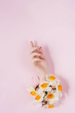 Çiçek ile pembe kağıt bir delik yırtık yoluyla kadın el. Parlak renkli arka plan ve kağıda bir boşluk yuvası. Tatil ve gün Mather kavramı.