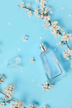 Kadın parfüm ve çiçek şube kiraz Şişe ile Pastel mavi güzellik masaüstü arka plan. Moda ve Güzellik blog düzeni. Bahar minimal kavramı. Düz döşeme, üst görünüm, kopyalama alanı.