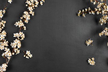 Çiçek kompozisyonu. Siyah arka plan üzerinde güzel beyaz çiçekli dalları ile Bahar arka plan. Bahar ve tatil konsepti. Düz döşeme, üst görünüm, kopyalama alanı