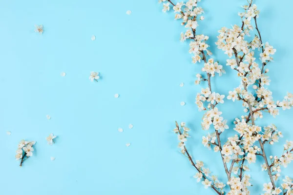 Bloemen samenstelling. Lente achtergrond met prachtige witte bloeiende takken op pastel blauwe achtergrond. Lente-en vakantie concept. Platte lay, bovenaanzicht, kopieer ruimte — Stockfoto