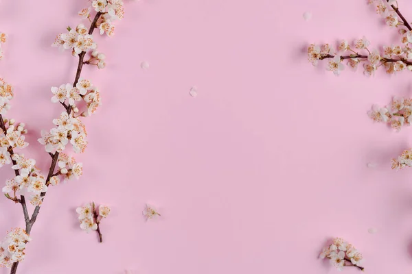 Lente achtergrond met prachtige witte bloeiende takken. Pastel roze achtergrond, Bloom delicate bloemen. Lente-en vakantie concept. Platte lay, bovenaanzicht, kopieer ruimte — Stockfoto