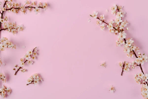 Bloemen samenstelling. Lente achtergrond met prachtige witte bloeiende takken op pastel roze achtergrond. Lente-en vakantie concept. Platte lay, bovenaanzicht, kopieer ruimte — Stockfoto
