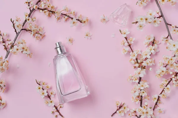 Pastel pink beauty desktop background with Bottle of female perfume and blossom branch cherry. Fashion and Beauty blog layout. Spring minimal concept. Flat lay, top view, copy space.