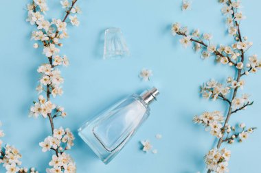 Kadın parfüm ve çiçek şube kiraz Şişe ile Pastel mavi güzellik masaüstü arka plan. Moda ve Güzellik blog düzeni. Bahar minimal kavramı. Düz döşeme, üst görünüm, kopyalama alanı.