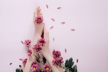 Pembe arka plan üzerinde purpure çiçekler ile yakın çekim güzel kadın el. Eller için kozmetik anti kırışıklık. Üst görünüm, kopyalama alanı