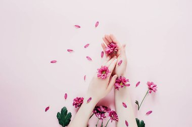 Yaratıcı kompozisyon. Pembe arka plan üzerinde purpure çiçeklerile güzel kadın el. Eller için kozmetik anti kırışıklık. Üst görünüm, kopyalama alanı