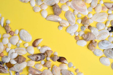 Yaz kompozisyonu. Düz yatıyordu, sarı arka plan üzerinde çeşitli deniz kabukları üst görünümü. Alanı en az tarzda kopyalayın, metin şablonu. Tatil konsepti
