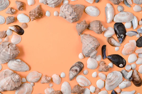 Creative flat lay concept of summer travel vacations. Top view of various kinds seashells on orange background. Copy space in minimal style, template for text — Stock Photo, Image