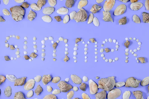 Word "summer" made of seashells on purple background. Minimal style, template for text. Vacation concept. Flat lay, top view, copy space — Stock Photo, Image