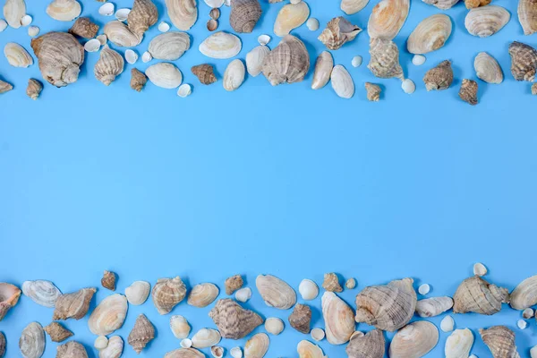 Creative flat lay concept of summer travel vacations. Top view of various kinds seashells on blue background. Copy space in minimal style, template for text — Stock Photo, Image
