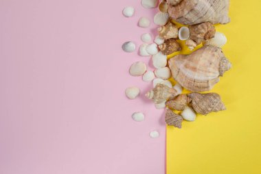 Yaz seyahat tatilyaratıcı düz yatıyordu kavramı. Sarı ve pembe arka planda çeşitli deniz kabukları üst görünümü. Alanı en az tarzda kopyalama, metin şablonu