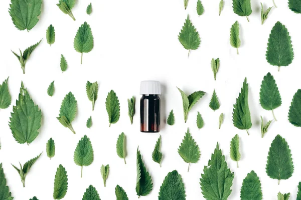 Herbal organic medicine product. Seamless pattern of fresh nettle, peppermint and Bottle of essential oil on white background. Flat lay, top view, copy space