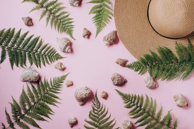 Yaratıcı yaz arka plan. Şapka, tropik eğrelti otu yaprağı dalları, pembe arka plan üzerinde deniz kabuğu. Düz yatıyordu, üst görünüm minimalist kolaj. Seyahat tatil konsepti.