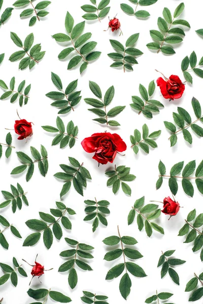 Kwiatowy wzór wykonany z czerwonych róż, zielone liście, gałęzie na białym tle. Płaski lay, widok z góry. Tło przyrodnicze. Wzór kwiatów. Kwiaty wzór tekstury — Zdjęcie stockowe