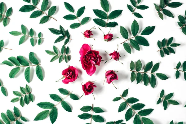 Bloemen samenstelling. Frame gemaakt van rood roze bloemen en groene weinig bladeren op witte achtergrond. Vele kleine bladeren voor het versieren van een postkaart of viering kaart. Platte lay, bovenaanzicht, kopieer ruimte. — Stockfoto