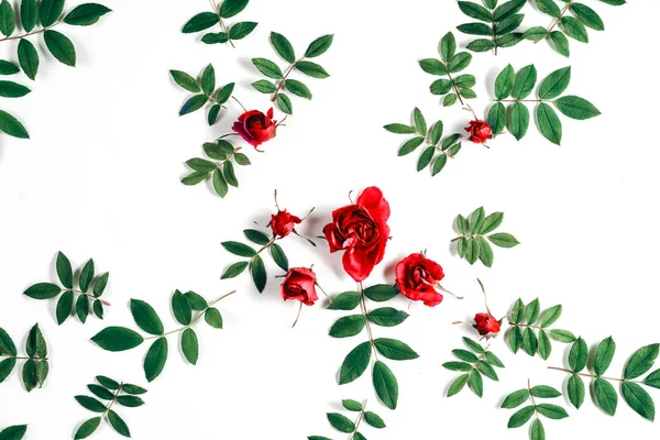Bloemmotief gemaakt van rode rozen, groene bladeren, takken op witte achtergrond. Platte lay, Top uitzicht. Natuur achtergrond. Patroon van bloemen. Bloemen patroon textuur — Stockfoto