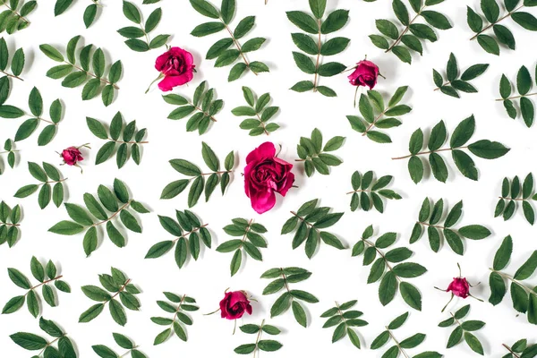 Flowers composition. Frame made of red rose flowers and green little leaves on white background. Many little leaves for decorating any post card or celebration card. Flat lay, top view, copy space. — Stock Photo, Image