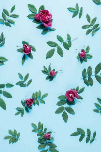Kwiatowy wzór wykonany z czerwonych róż, zielone liście, gałęzie na pastelowych niebieskim tle. Płaski lay, widok z góry. Tło przyrodnicze. Wzór kwiatów. Kwiaty wzór tekstury — Zdjęcie stockowe