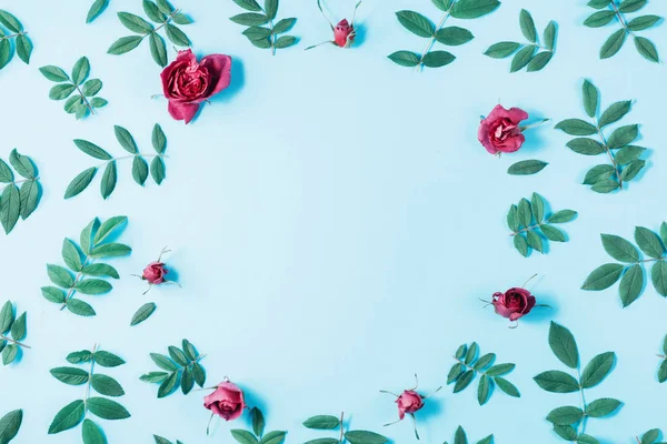 Bloemen samenstelling. Frame gemaakt van rood roze bloemen en groene weinig bladeren op blauwe achtergrond. Vele kleine bladeren voor het versieren van een postkaart of viering kaart. Platte lay, bovenaanzicht, kopieer ruimte. — Stockfoto