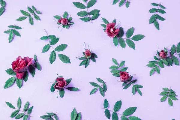 Bloemmotief gemaakt van rode rozen, groene bladeren, takken op pastel paarse achtergrond. Platte lay, Top uitzicht. Natuur achtergrond. Patroon van bloemen. Bloemen patroon textuur — Stockfoto