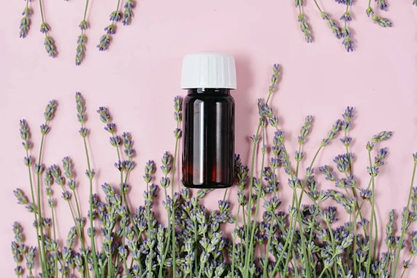 Natural cosmetics. Fresh lavender flowers and bottle essential oil on pink background. Alternative home medicine. Natural Serums. Flat lay, top view, copy space — Stock Photo, Image